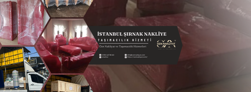 İstanbul Şırnak nakliye hizmetlerinde profesyonel şehirler arası taşımacılık